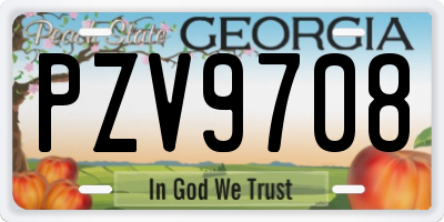 GA license plate PZV9708