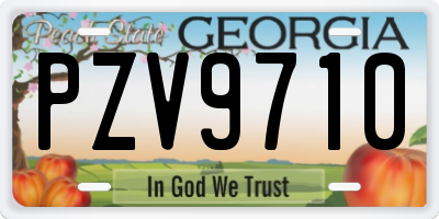 GA license plate PZV9710