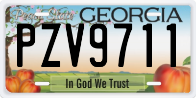 GA license plate PZV9711