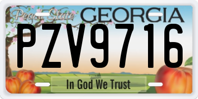 GA license plate PZV9716