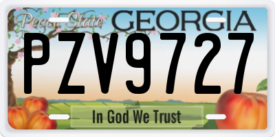 GA license plate PZV9727
