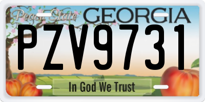 GA license plate PZV9731