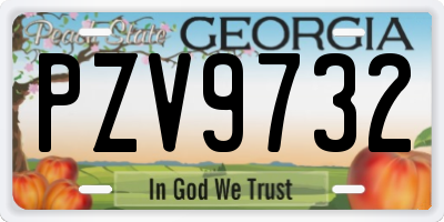 GA license plate PZV9732