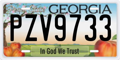 GA license plate PZV9733