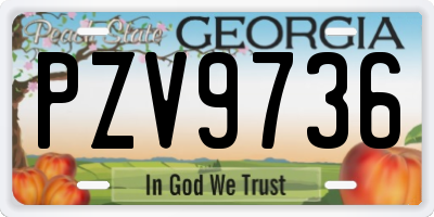 GA license plate PZV9736