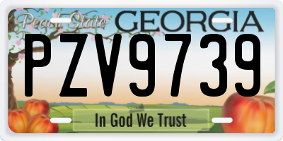 GA license plate PZV9739