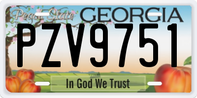 GA license plate PZV9751