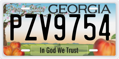 GA license plate PZV9754