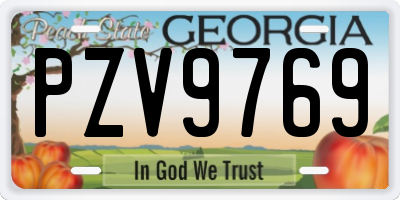 GA license plate PZV9769