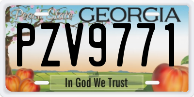 GA license plate PZV9771