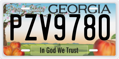 GA license plate PZV9780
