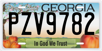 GA license plate PZV9782