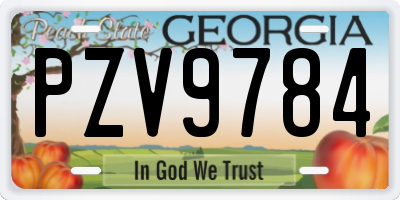 GA license plate PZV9784