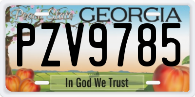 GA license plate PZV9785