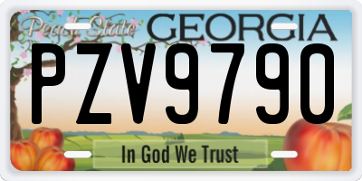 GA license plate PZV9790