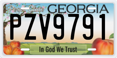 GA license plate PZV9791