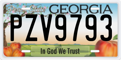 GA license plate PZV9793