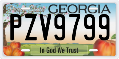 GA license plate PZV9799