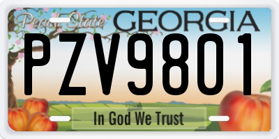 GA license plate PZV9801