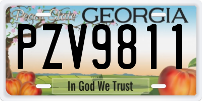GA license plate PZV9811