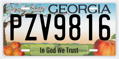 GA license plate PZV9816