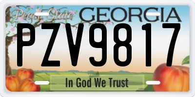 GA license plate PZV9817