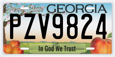 GA license plate PZV9824