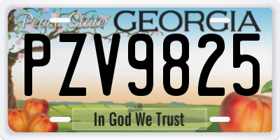 GA license plate PZV9825