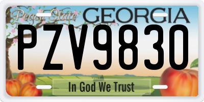 GA license plate PZV9830