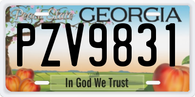 GA license plate PZV9831