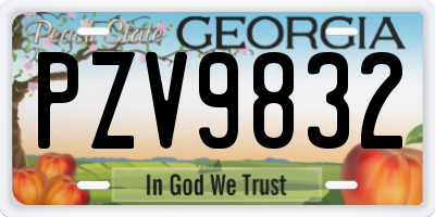 GA license plate PZV9832