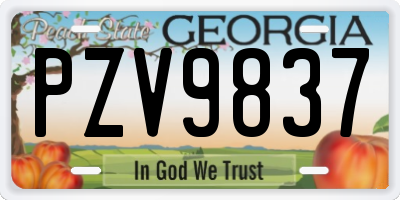 GA license plate PZV9837