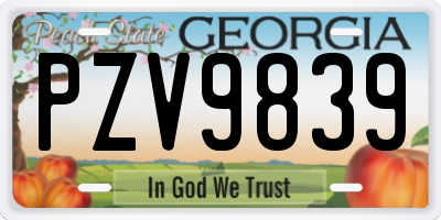 GA license plate PZV9839