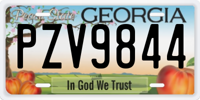 GA license plate PZV9844