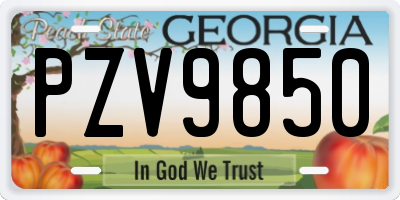 GA license plate PZV9850