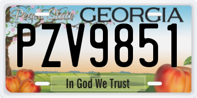 GA license plate PZV9851