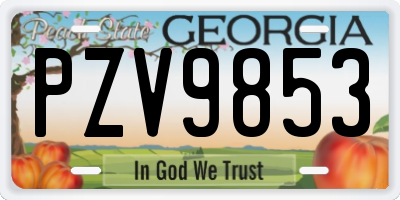 GA license plate PZV9853