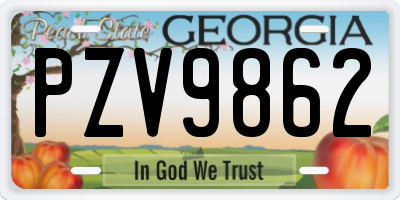 GA license plate PZV9862