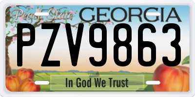 GA license plate PZV9863