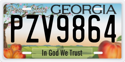 GA license plate PZV9864