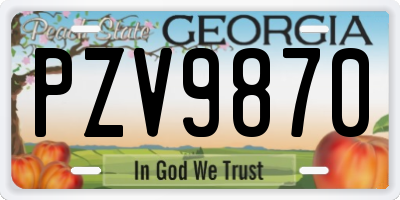 GA license plate PZV9870