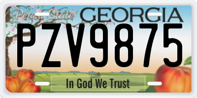 GA license plate PZV9875