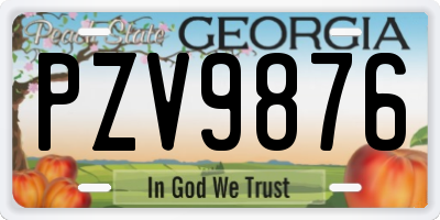 GA license plate PZV9876