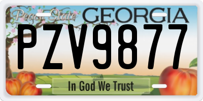 GA license plate PZV9877