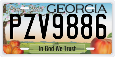 GA license plate PZV9886