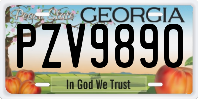 GA license plate PZV9890