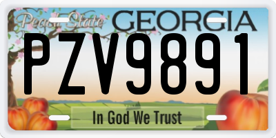 GA license plate PZV9891