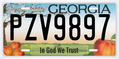 GA license plate PZV9897