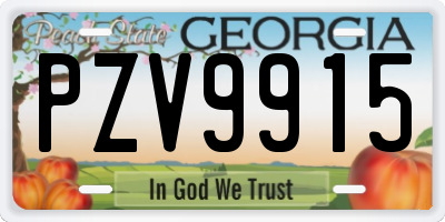 GA license plate PZV9915