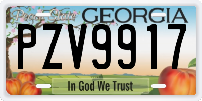 GA license plate PZV9917